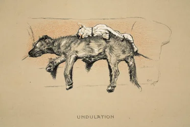Undulation, 1930, 1:a upplagan av 